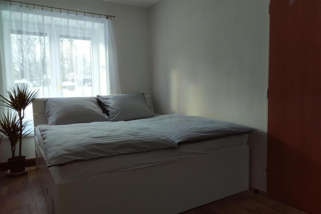 Apartman Pod Rickami Apartment Rokytnice v Orlickych Horach Exterior photo