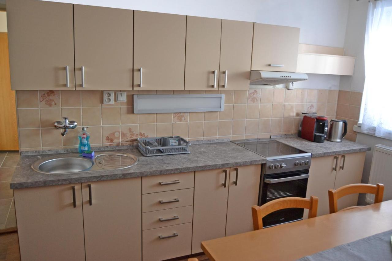 Apartman Pod Rickami Apartment Rokytnice v Orlickych Horach Exterior photo