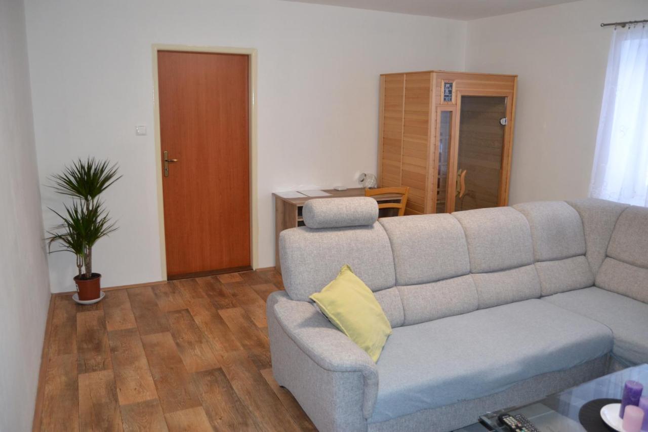 Apartman Pod Rickami Apartment Rokytnice v Orlickych Horach Exterior photo
